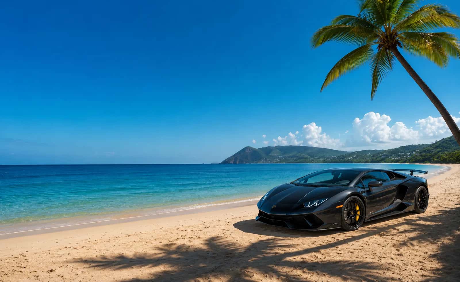 Voiture de sport noire sous un cocotier, au bord du lagon